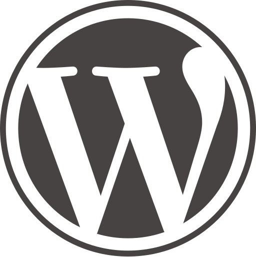 Hire Expert WordPress Developer USA for Fast and SEO Optimized Websites